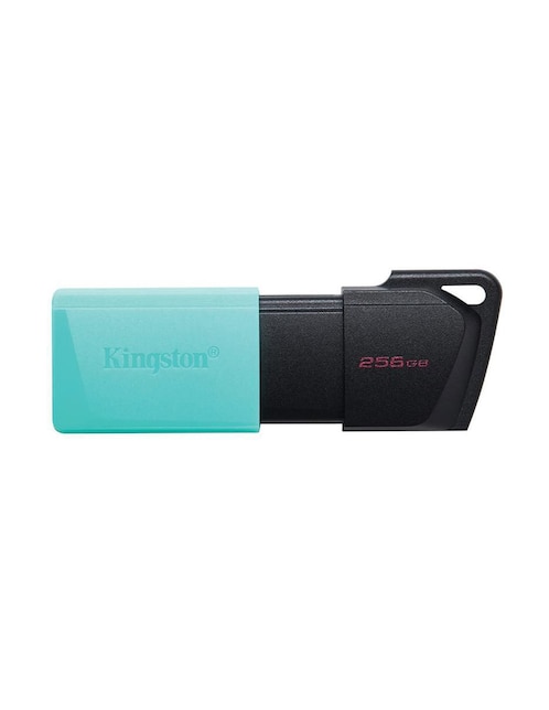 USB para almacenar 256 GB Kingston