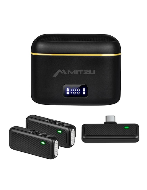 Micrófono portátil Inalámbrico Mitzu 12-8050