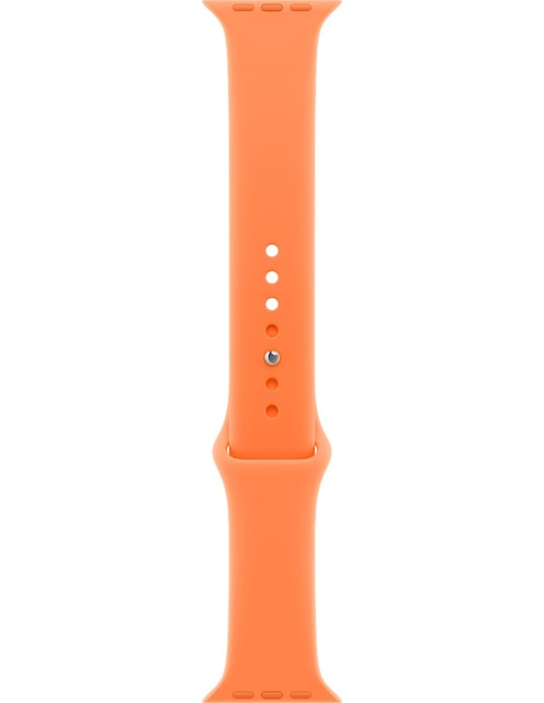 APPLE Correa Apple smartwach