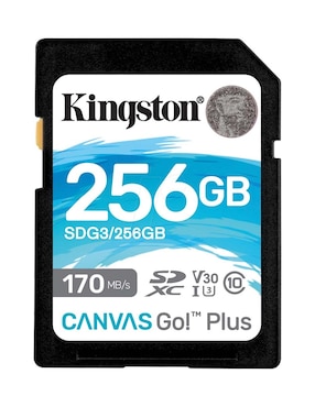 Memoria Sd Kingston technology capacidad 256 gb