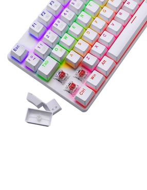 Teclado gamer T-Dagger Bora T-TGK313