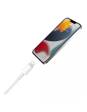 Cargador pared Mr. Gadgets Lightning + USB tipo C