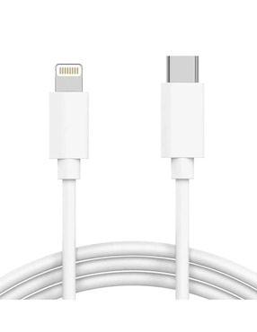 Cargador pared Mr. Gadgets Lightning + USB tipo C