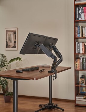 Soporte para monitor de escritorio Ground Pro