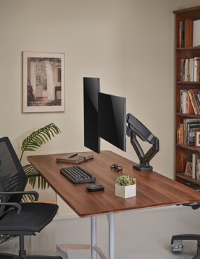 Soporte para monitor de escritorio Ground Pro