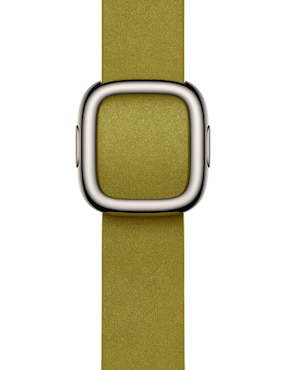Correa Apple watch