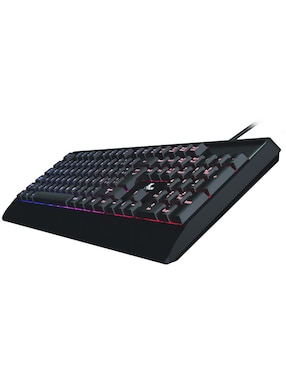 Teclado conexión alámbrica Xtech Chevalier