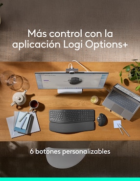 Mouse Gamer Inalámbrico Logitech G mx ergo s 910-007261