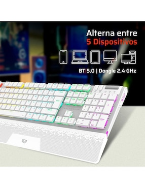 Teclado gamer conexión inalámbrica Balam Rush Dominate Expert GK979I