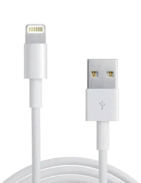 Cable lightning 1Hora a tipo USB de 1 m