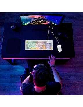Teclado gamer alámbrico Basher BASH-6000