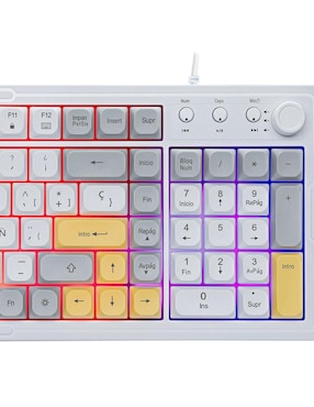 Teclado gamer alámbrico Basher BASH-6000