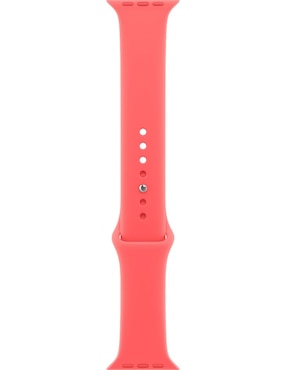 Correa para smartwatch Apple