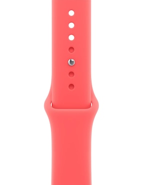 Correa para smartwatch Apple