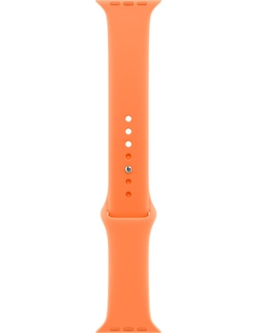Correa Apple smartwach