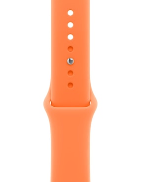 Correa Apple smartwach