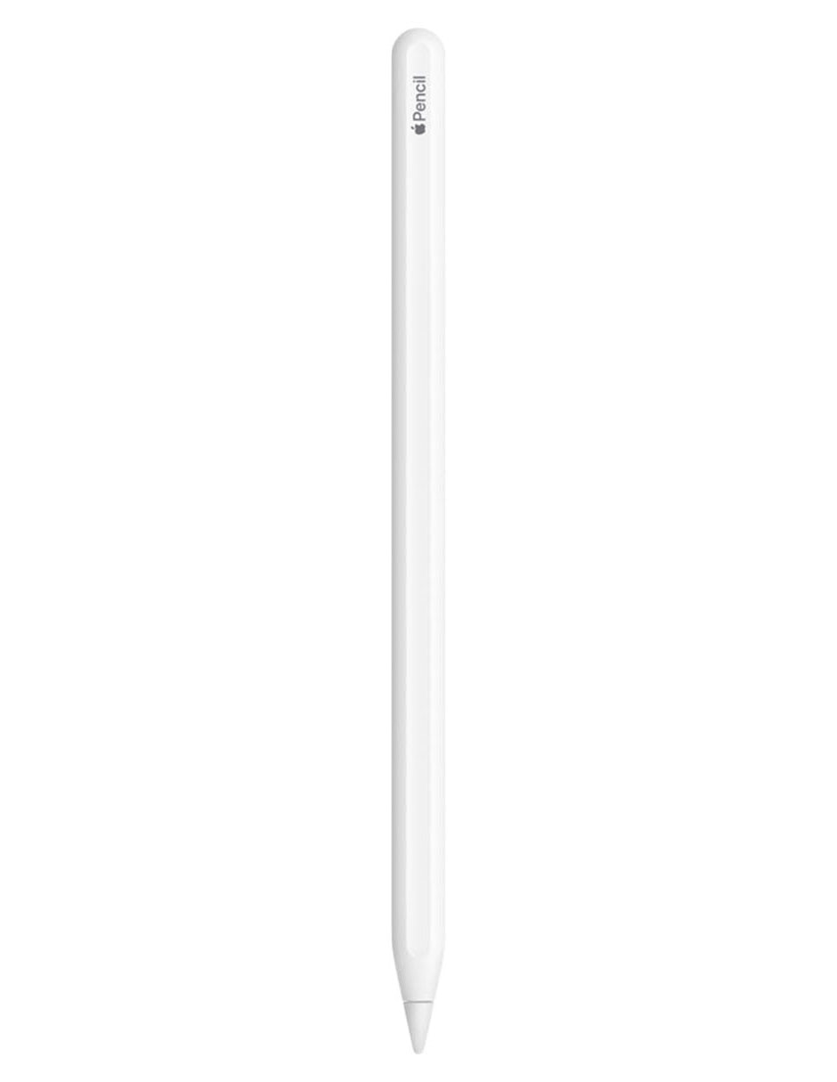 iPad Pro de 12.9 pulgadas (tercera generación) - Imprescindibles para  cargar - Todos los accesorios - Apple (MX)