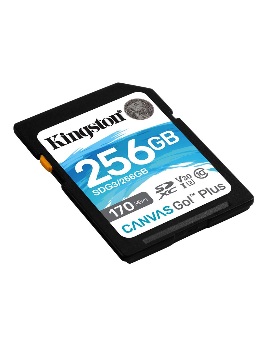 Memoria Sd technology capacidad 256 gb 2