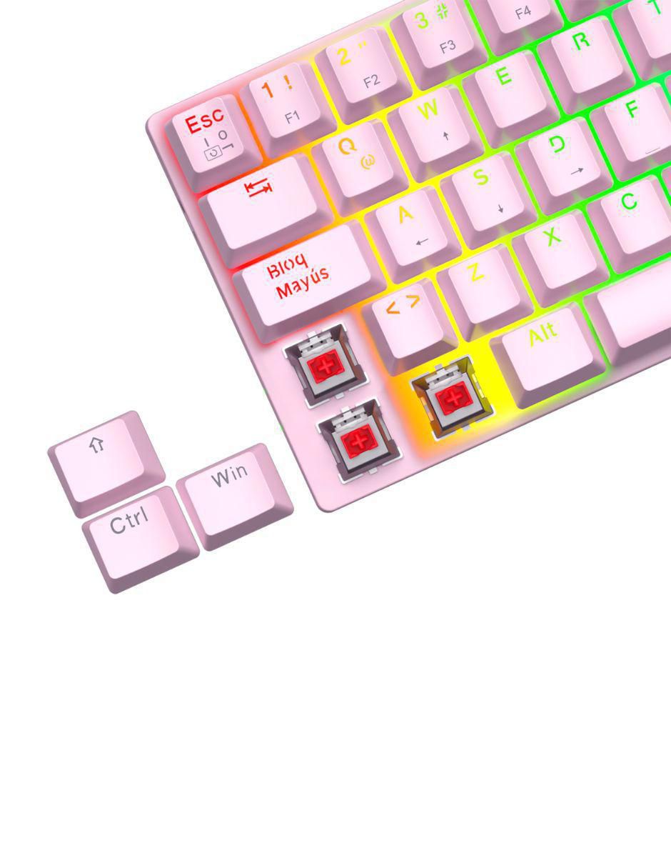 Rosa