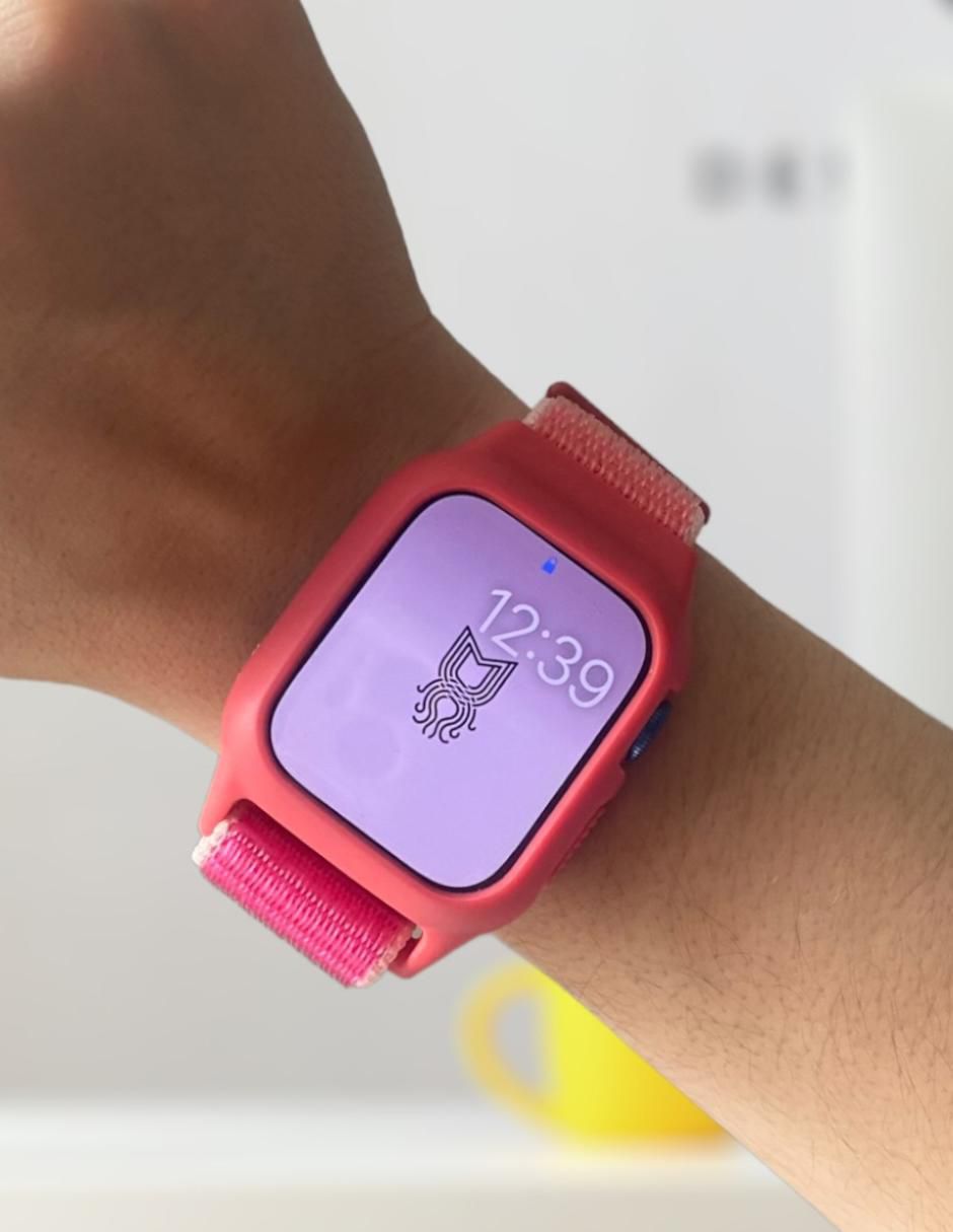 Correa para smartwatch 2
