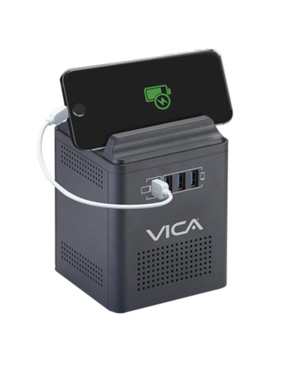 Regulador de voltaje Connect 800 2