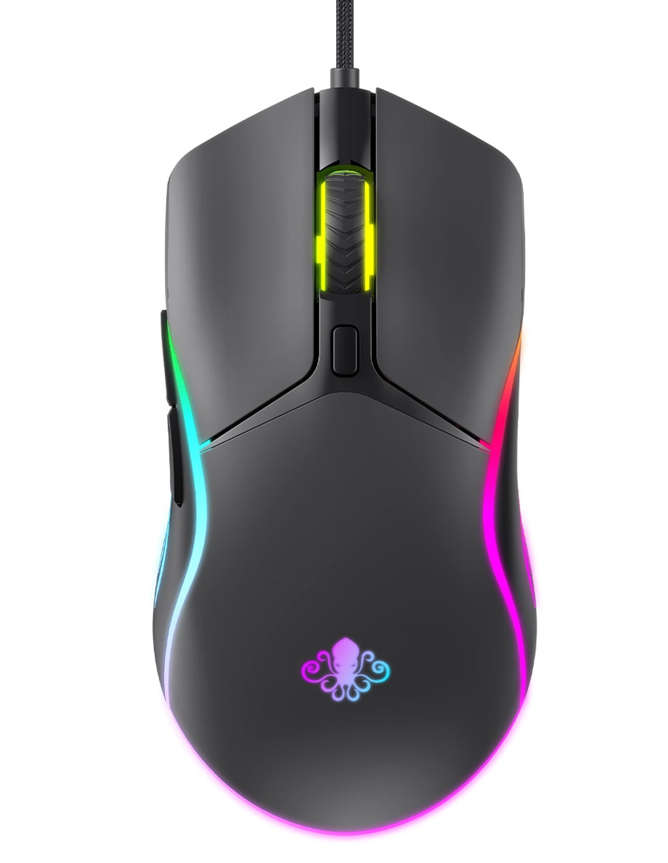 Mouse gamer