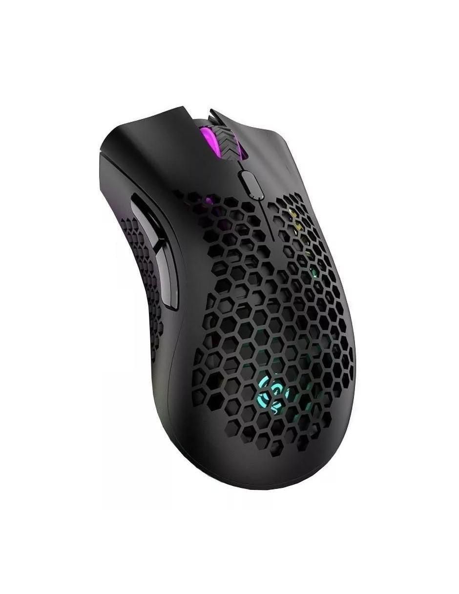 Mouse gamer
