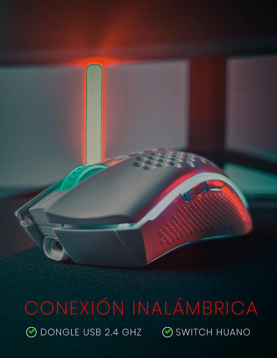Mouse gamer 2