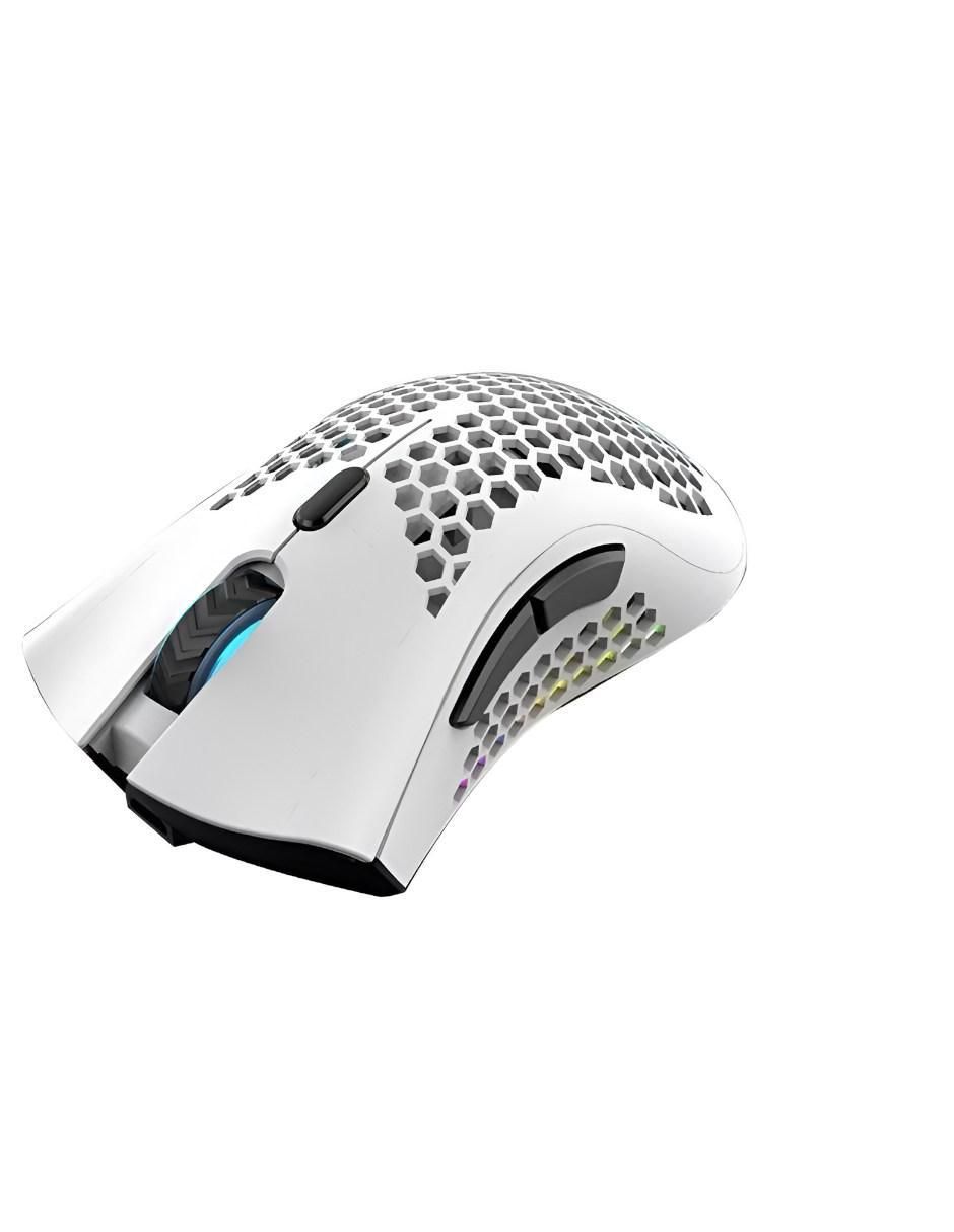 Mouse gamer 2