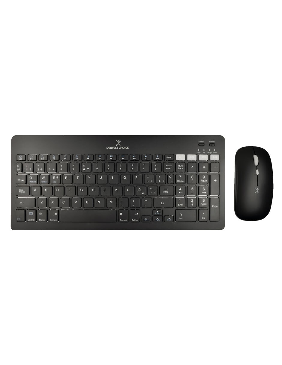 Mouse y teclado PC-201373