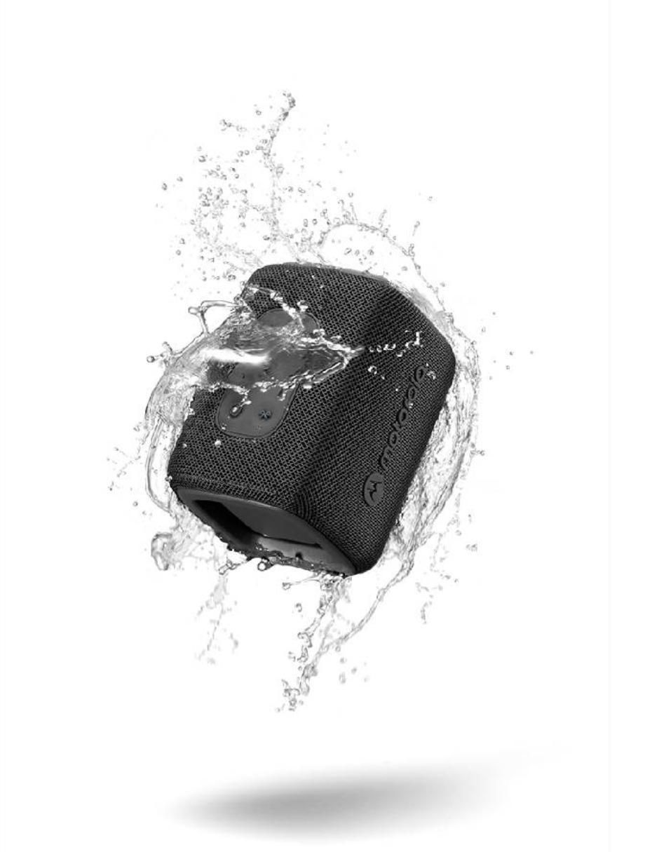 Bocina Rokr 300 bluetooth 3