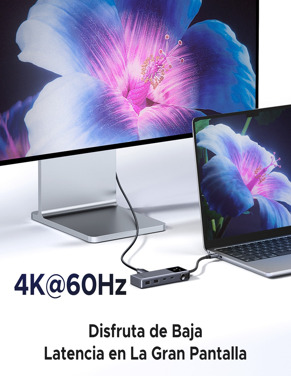Hub 35998 de 6 salidas 5