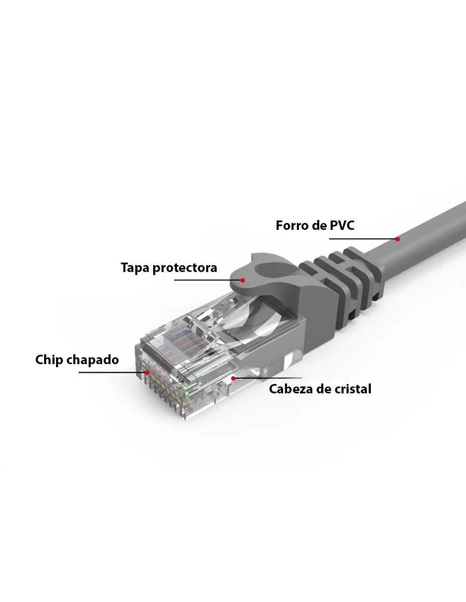 Cable ethernet de 30 m 2
