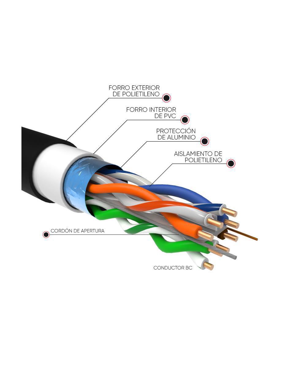 Cable ethernet de 50 m 2