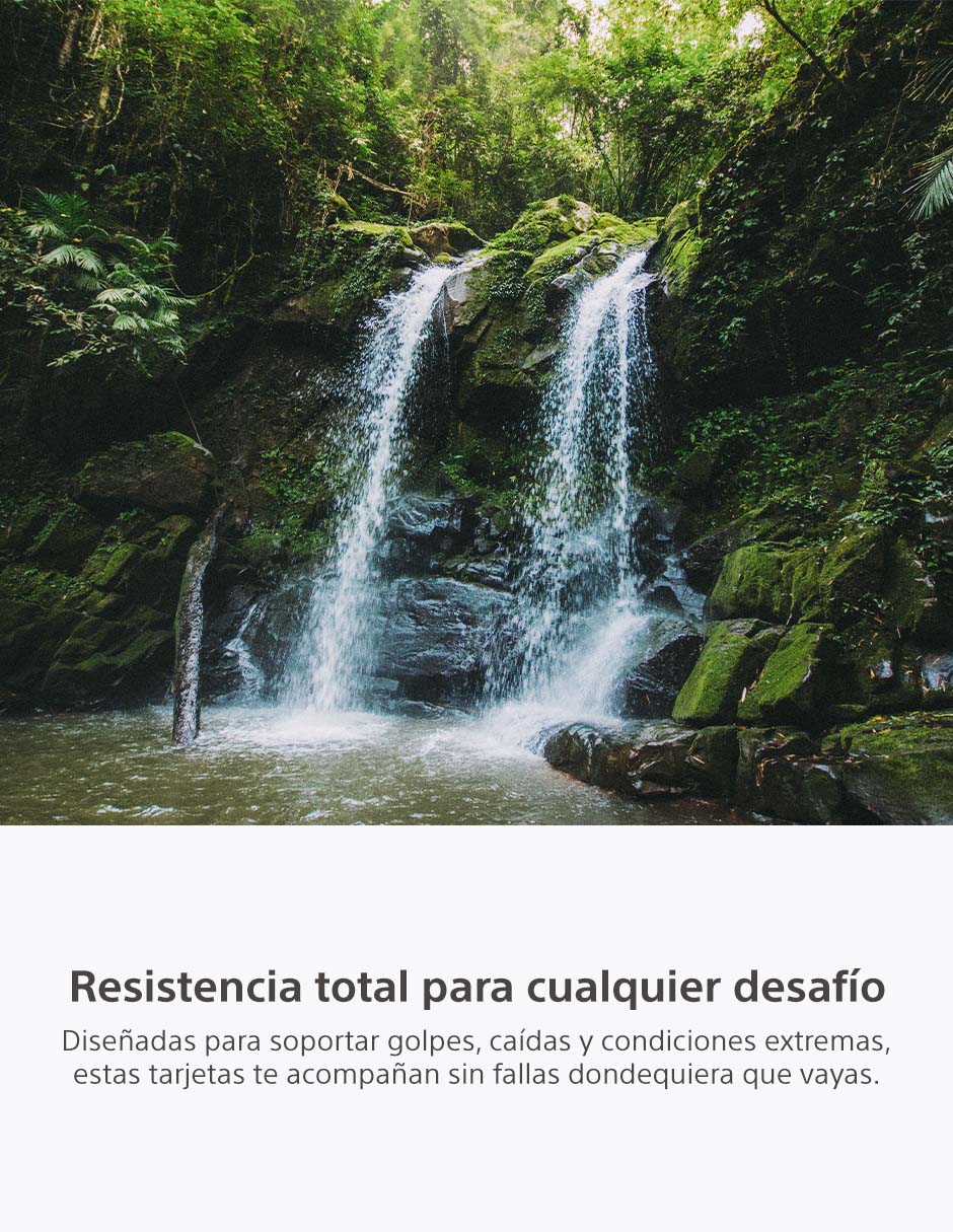 Memoria CFexpress capacidad 480 GB 7