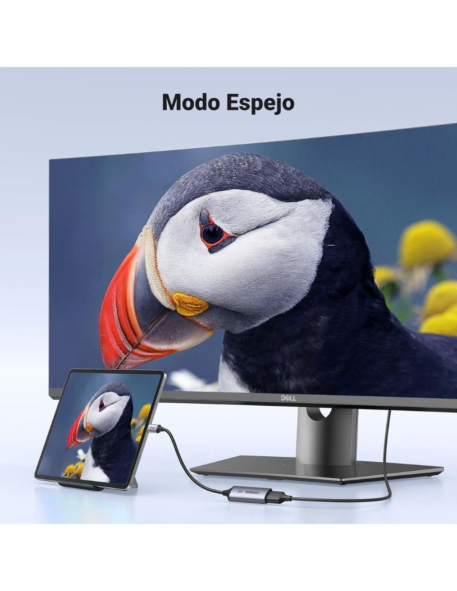 Cable USB Displayport a tipo USB C de 0.5 m 5