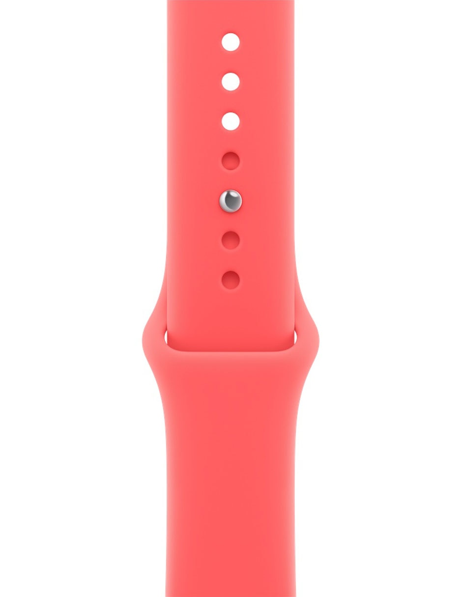 Correa para smartwatch 2